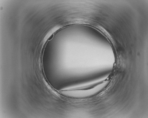 X0000062651293200601040908