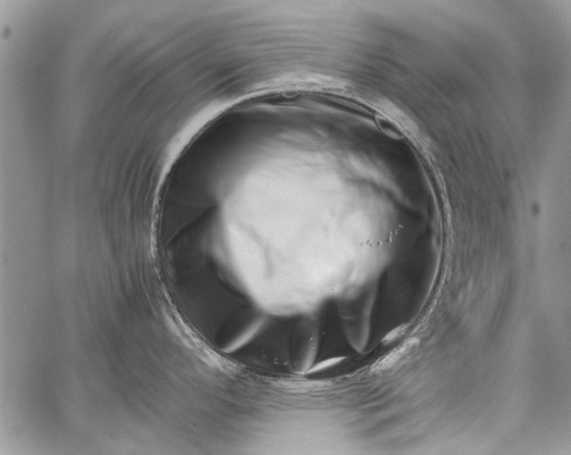 X0000062651296200601040908