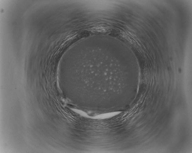 X0000062651297200601040907