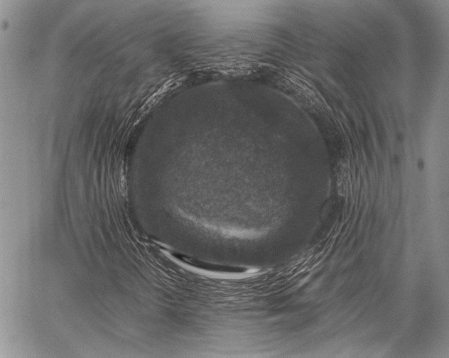 X0000062651298200601040907