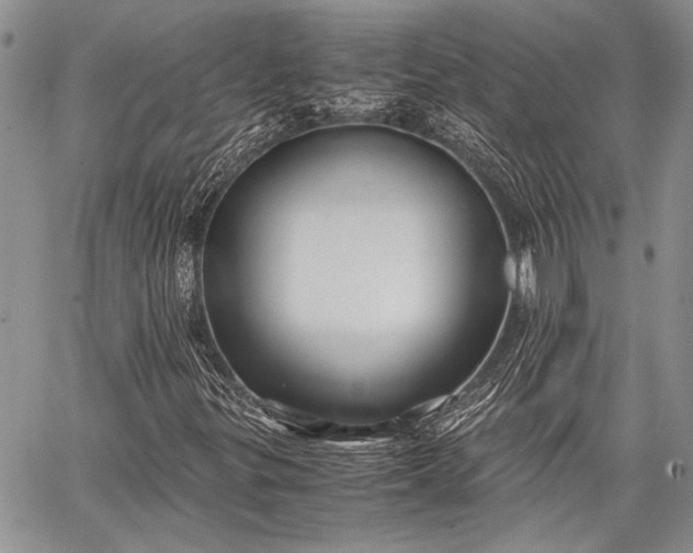 X0000062651299200601040907