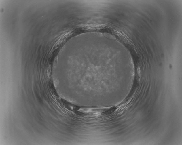 X0000062651300200601040907