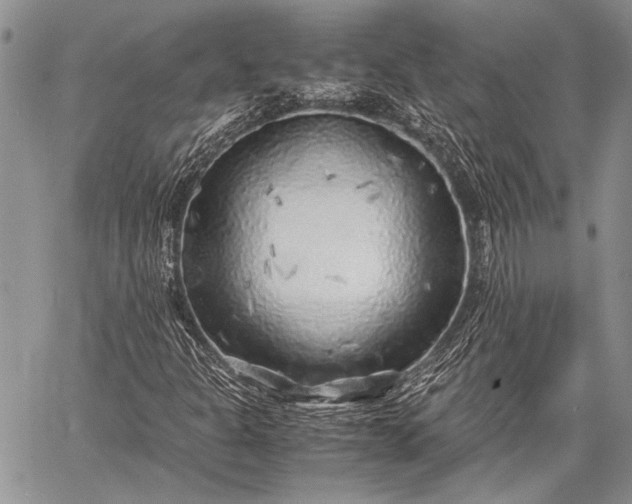 X0000062651301200601040907