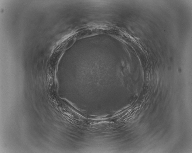 X0000062651303200601040907