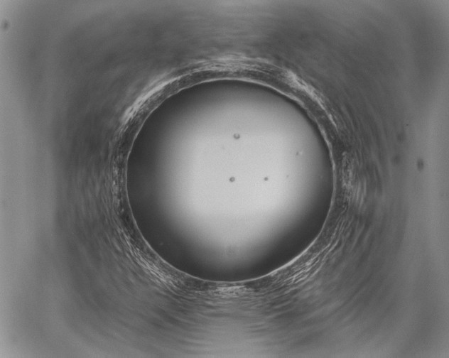 X0000062651304200601040907