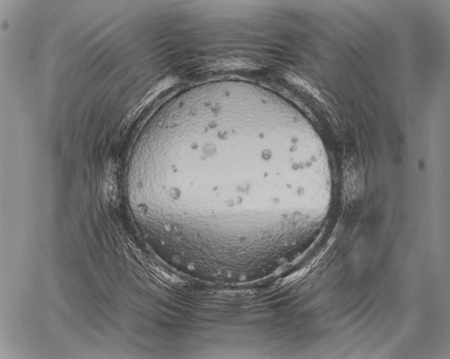 X0000062651305200601040907