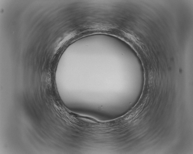 X0000062651307200601040908