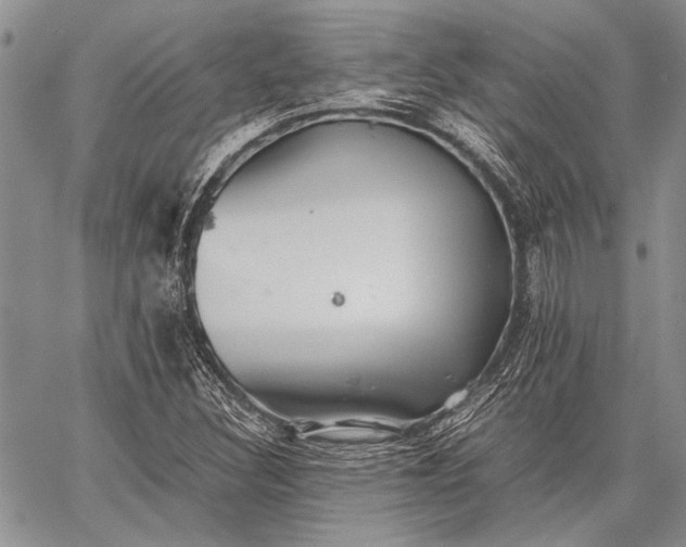 X0000062651308200601040908