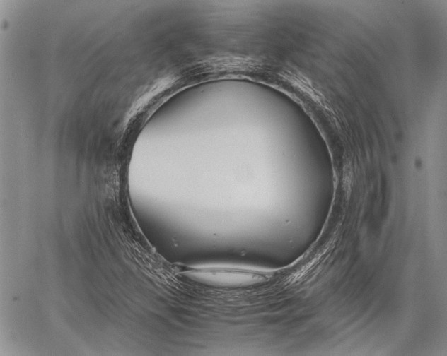 X0000062651309200601040908