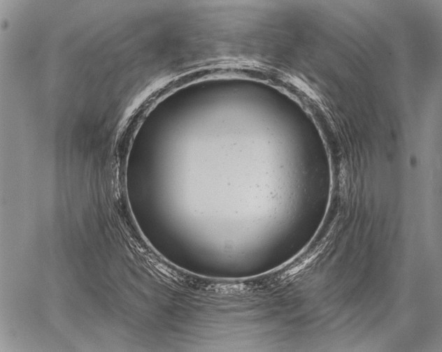 X0000062651310200601040908