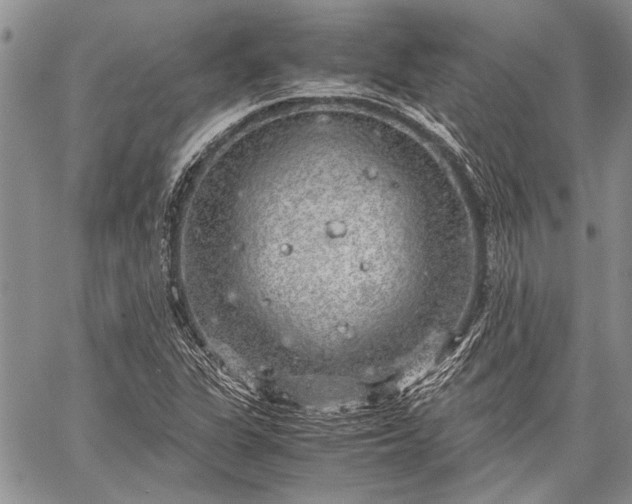 X0000062651311200601040908