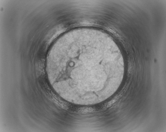 X0000062651314200601040908