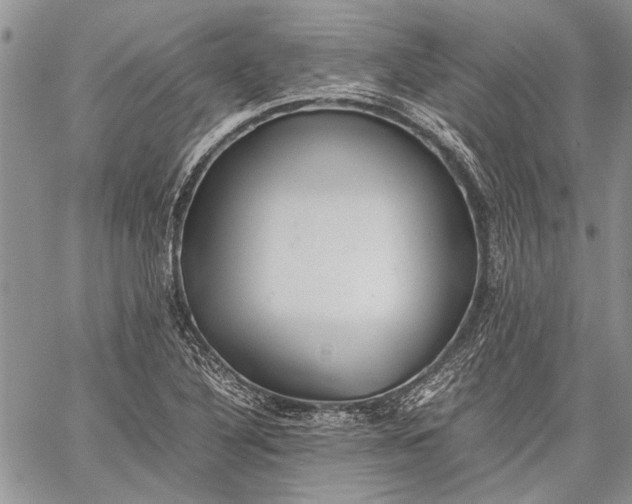 X0000062651316200601040908