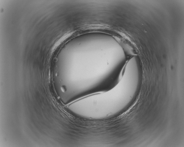 X0000062651317200601040908