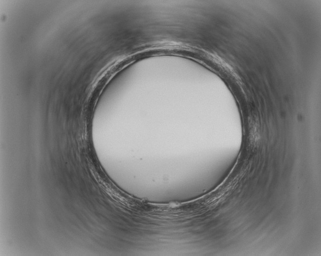 X0000062651318200601040908