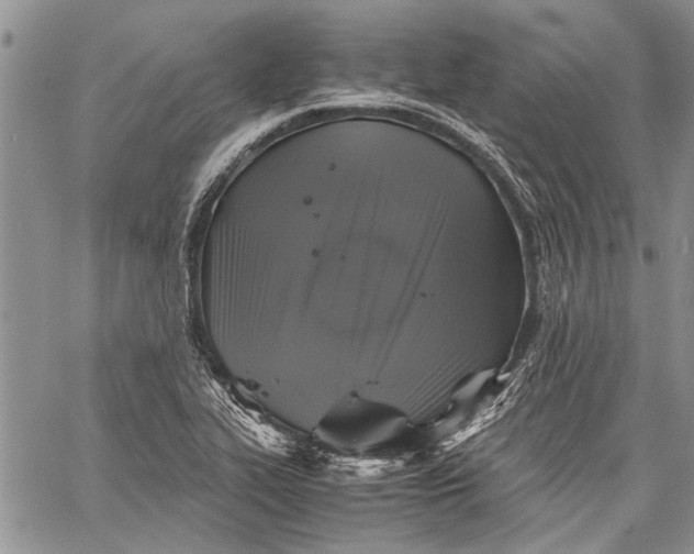 X0000062651319200601040908