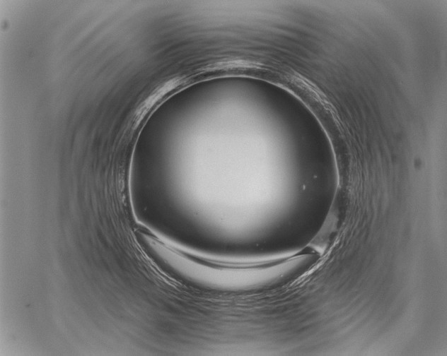 X0000062651321200601040908