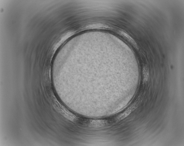 X0000062651322200601040908