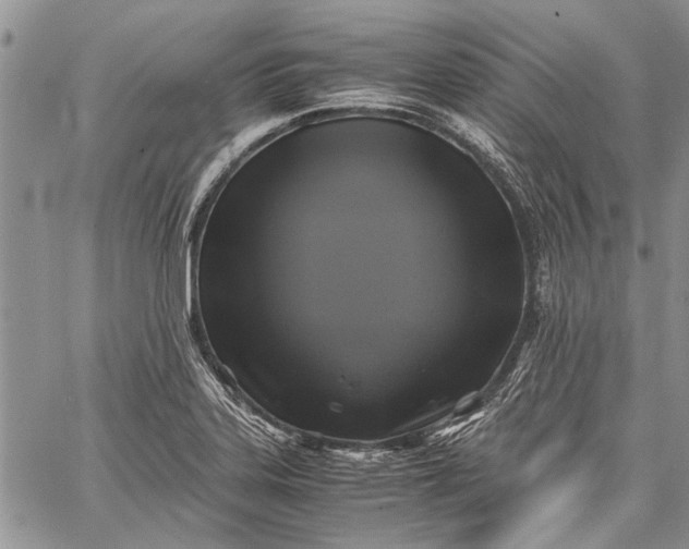 X0000062651323200601040908