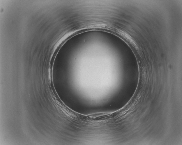 X0000062651324200601040908