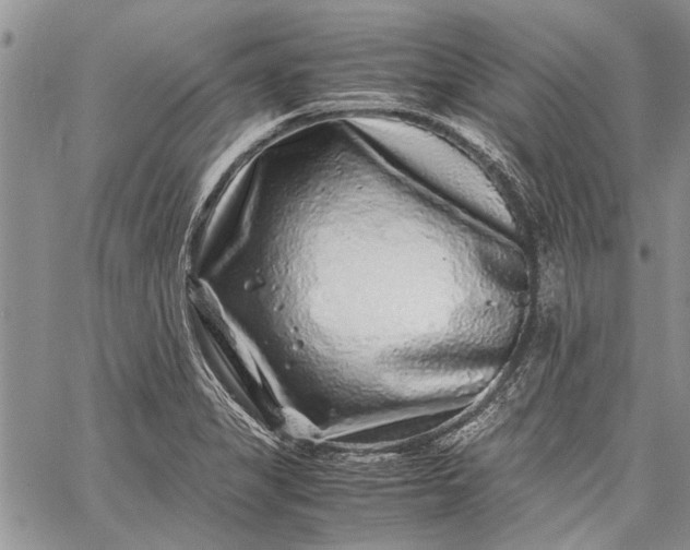 X0000062651325200601040908