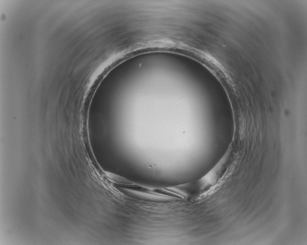 X0000062651326200601040908