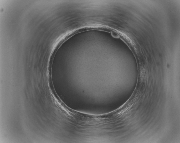 X0000062651327200601040908