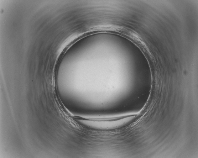 X0000062651328200601040908