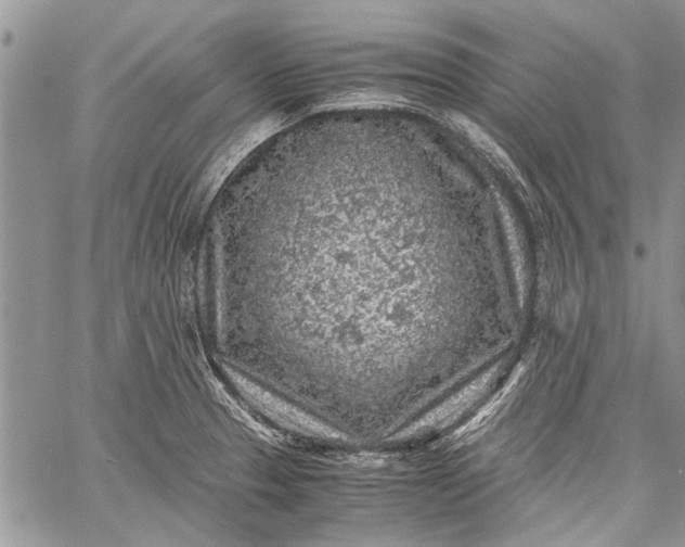 X0000062651329200601040908