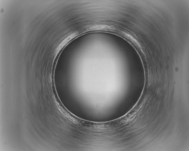 X0000062651330200601040908