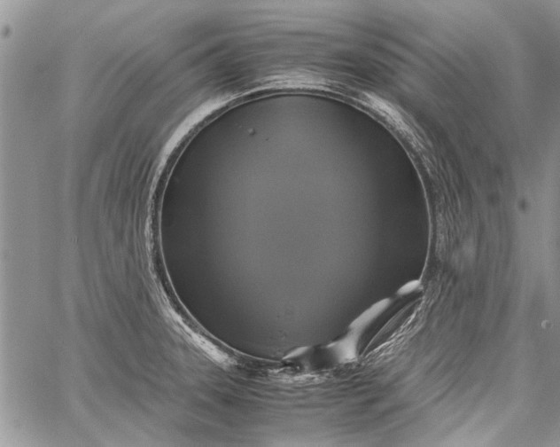 X0000062651331200601040908