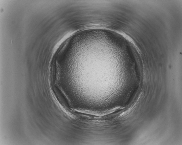 X0000062651333200601040908