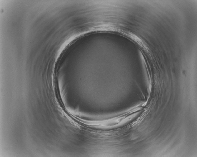 X0000062651334200601040908