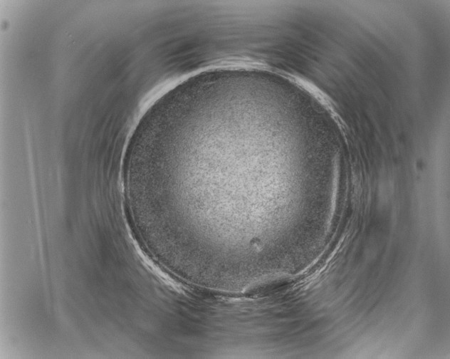 X0000062651335200601040908