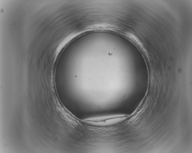 X0000062651336200601040908