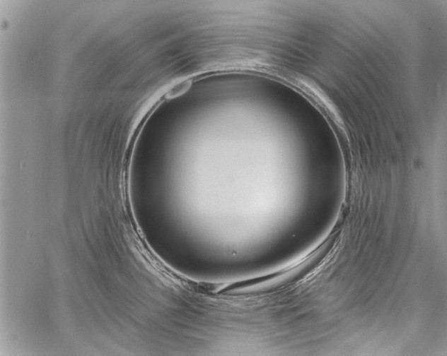 X0000062651340200601040908