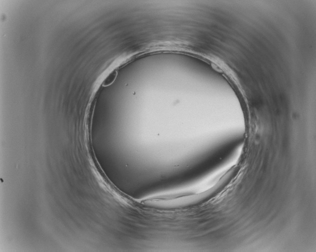 X0000062651341200601040908