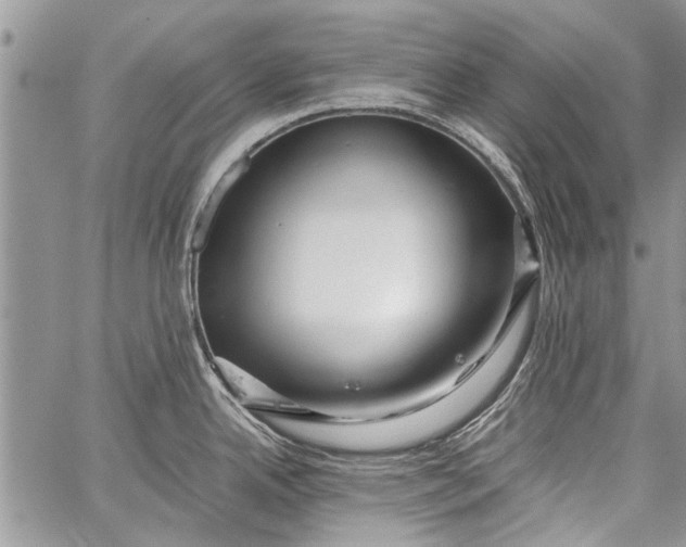 X0000062651342200601040908