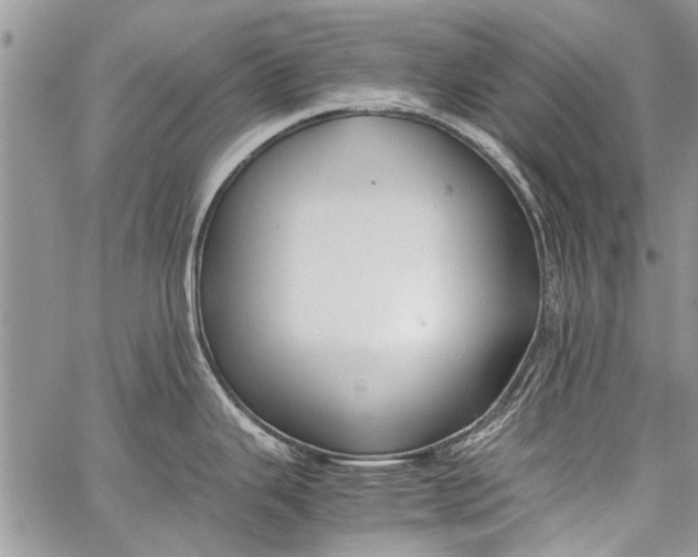 X0000062651343200601040908