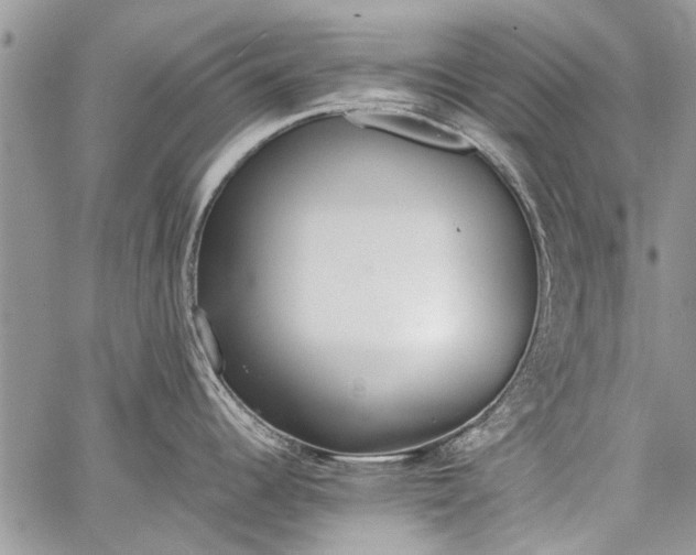 X0000062651344200601040908