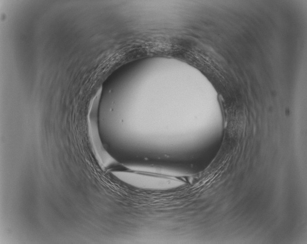 X0000062651345200601040907