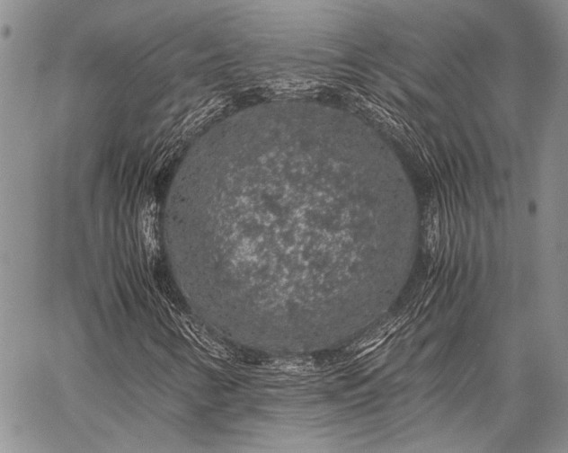 X0000062651346200601040907