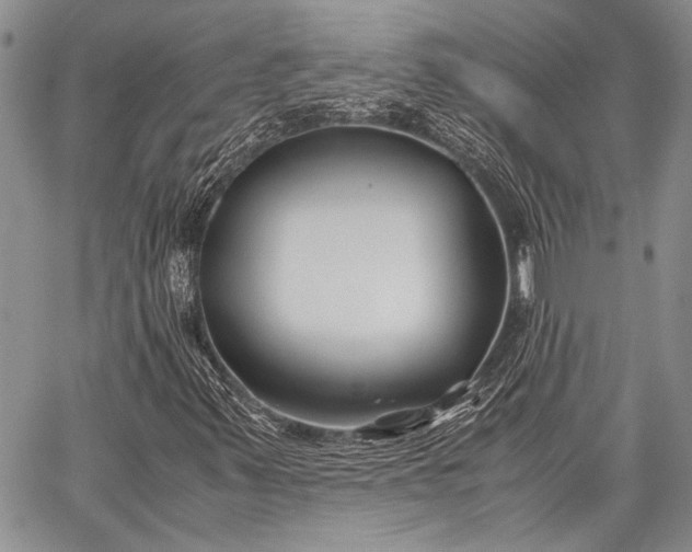 X0000062651347200601040907