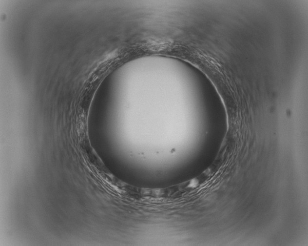 X0000062651349200601040907