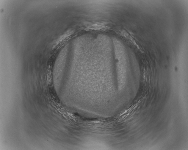 X0000062651350200601040907