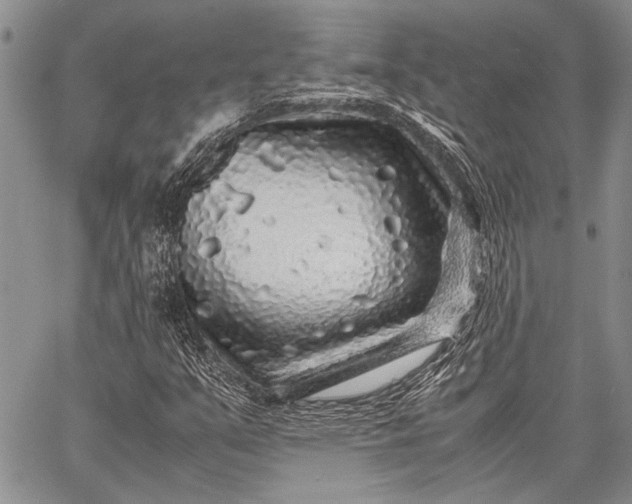 X0000062651351200601040907