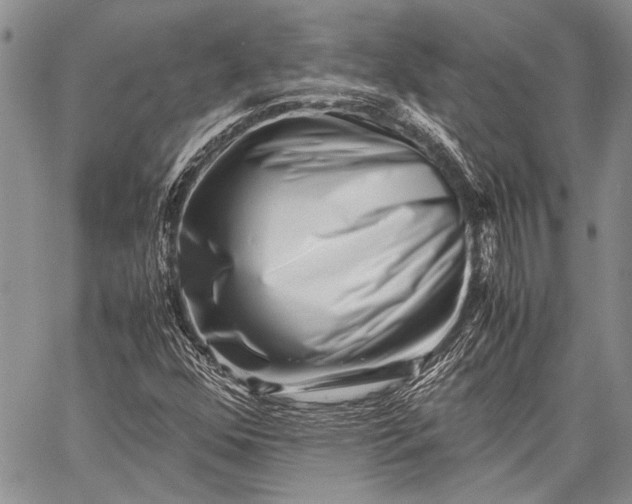 X0000062651352200601040907