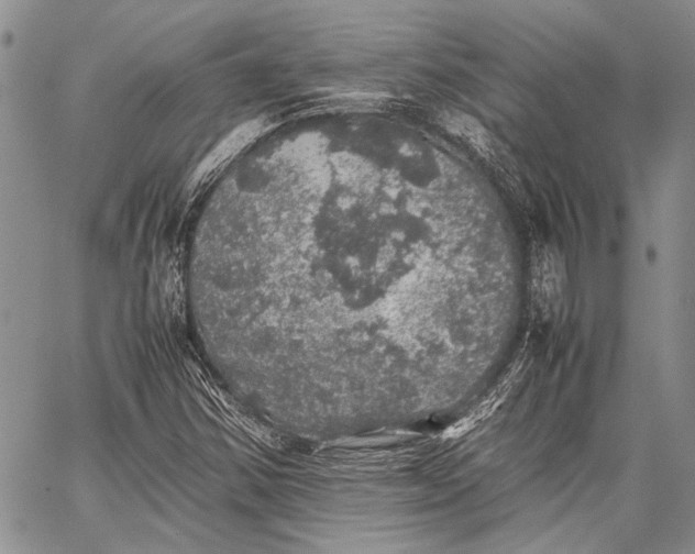 X0000062651354200601040907