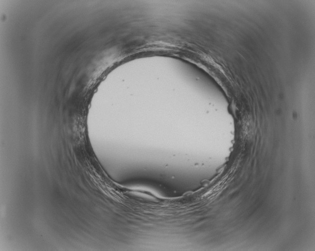 X0000062651355200601040907