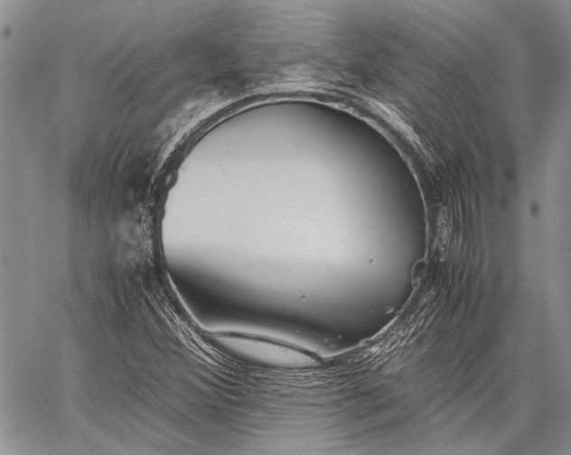 X0000062651356200601040907